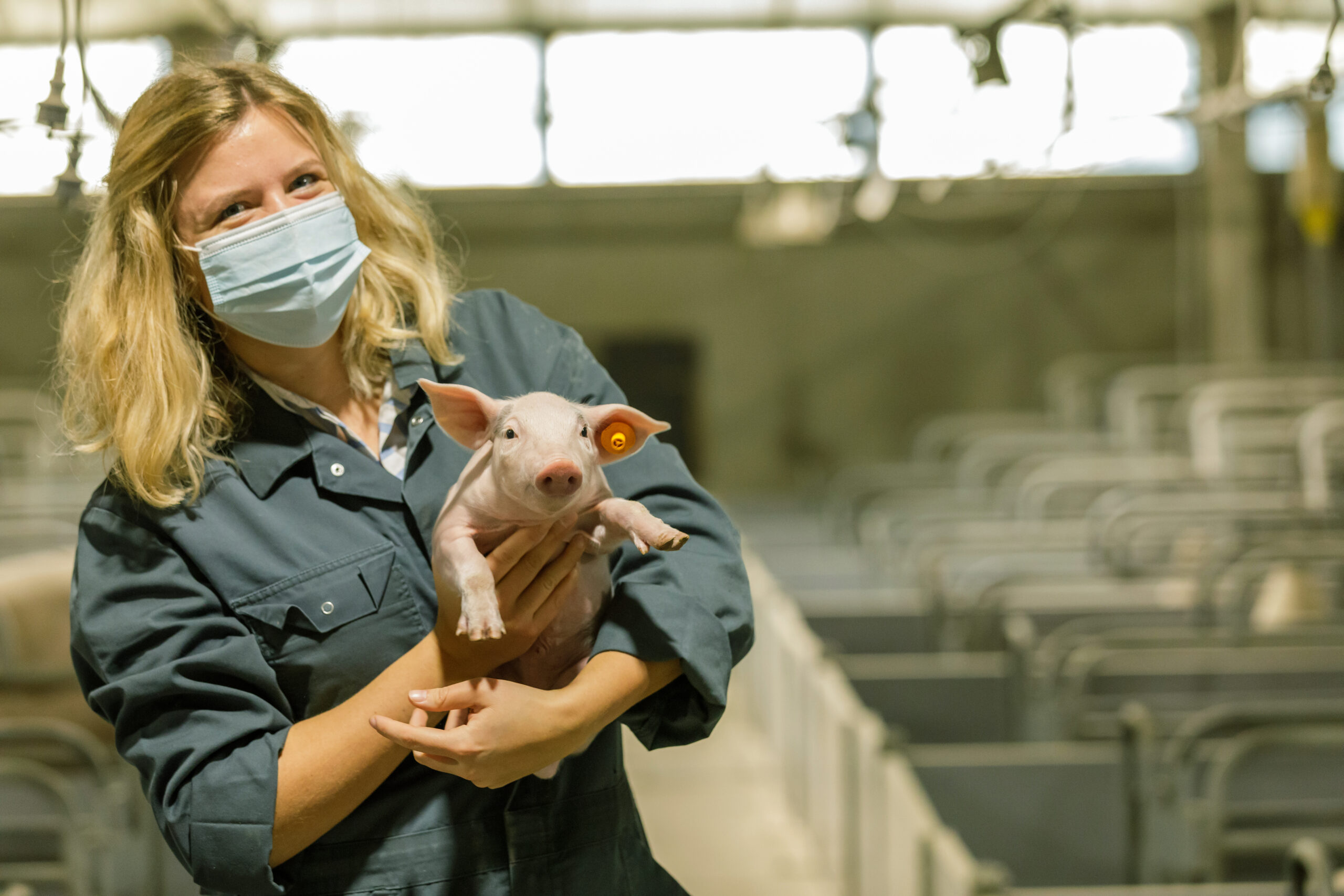 Investing in the future understanding the benefits of creep feed for newborn piglets Earlyfeed
